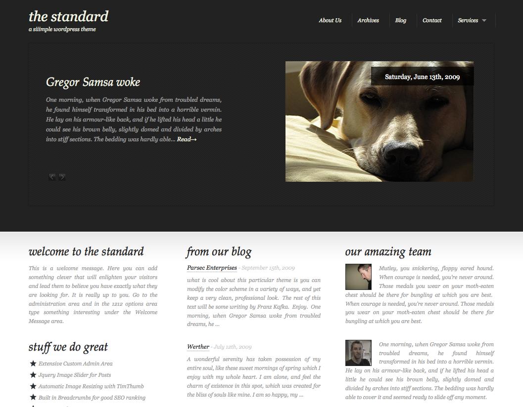 The Standard wordpress theme